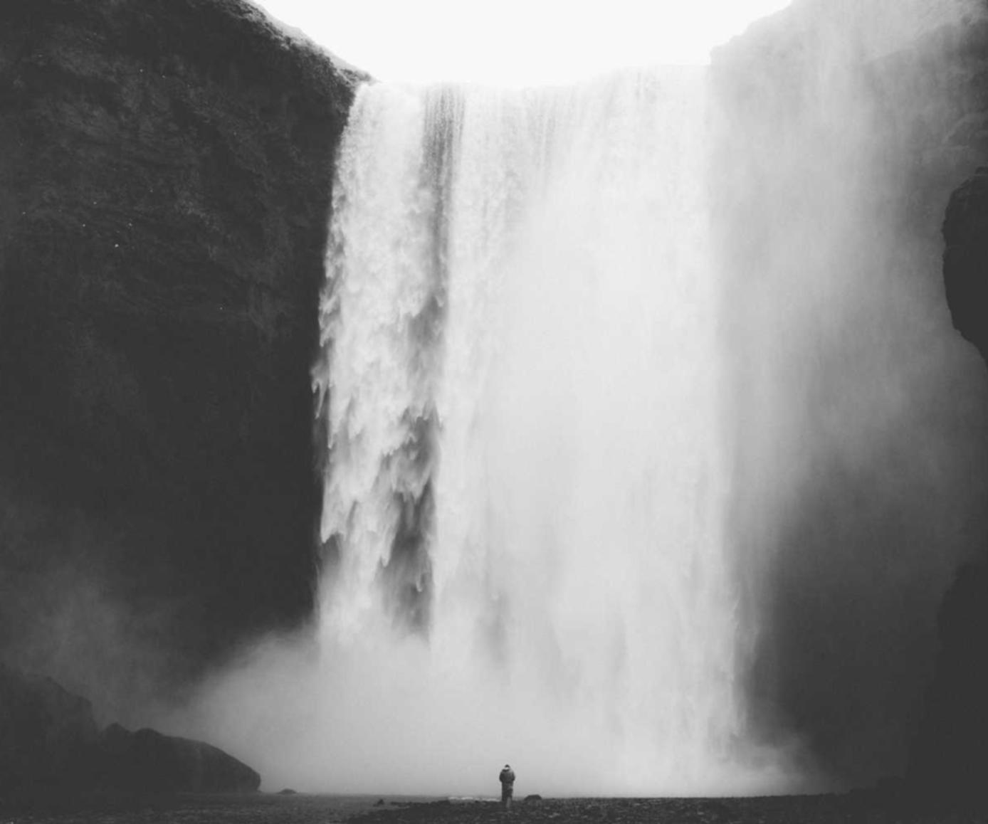 DDOS网页端平台|饿了吗配送app详情下载教程