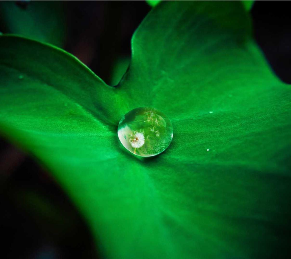 彩吧娱乐，注册|苏州企业注册代理注册