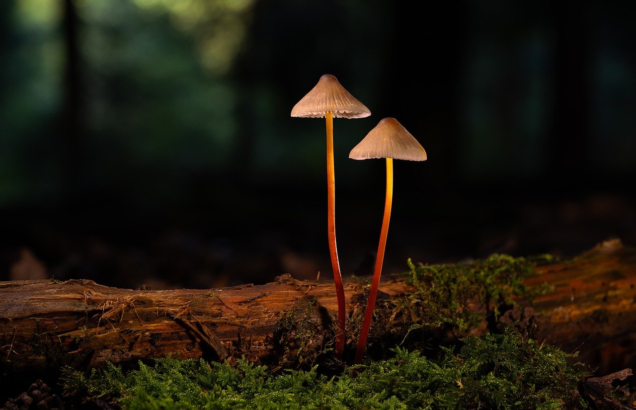 微信买卖小号：用友ERP软件详情下载教程app