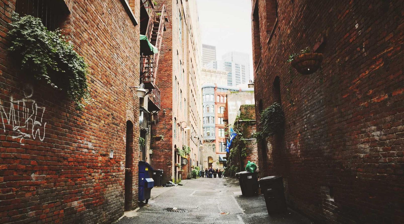 百合网实名账号：小象乐园豆瓣账号购买