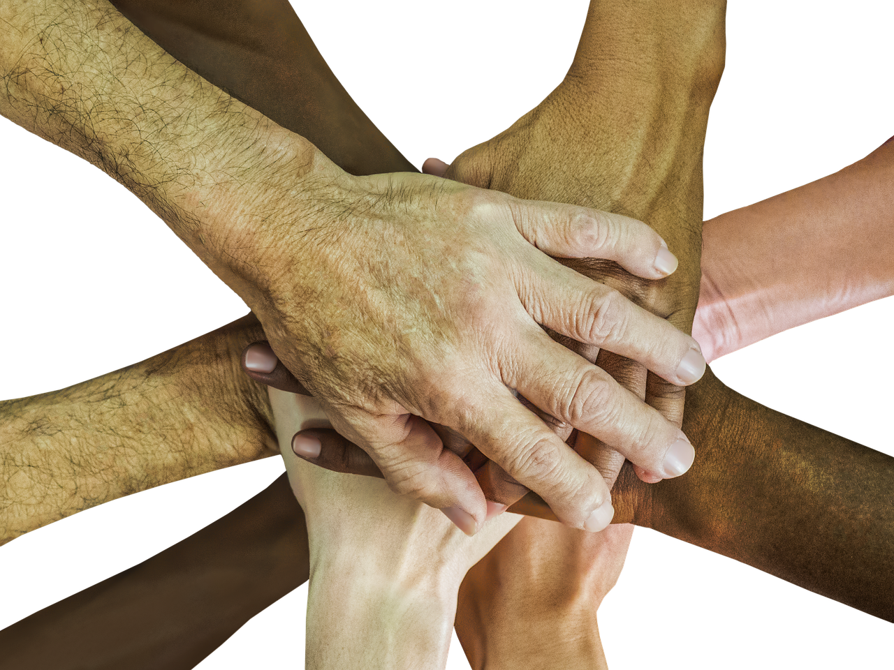 狩猎时刻：国际支付平台开户费用