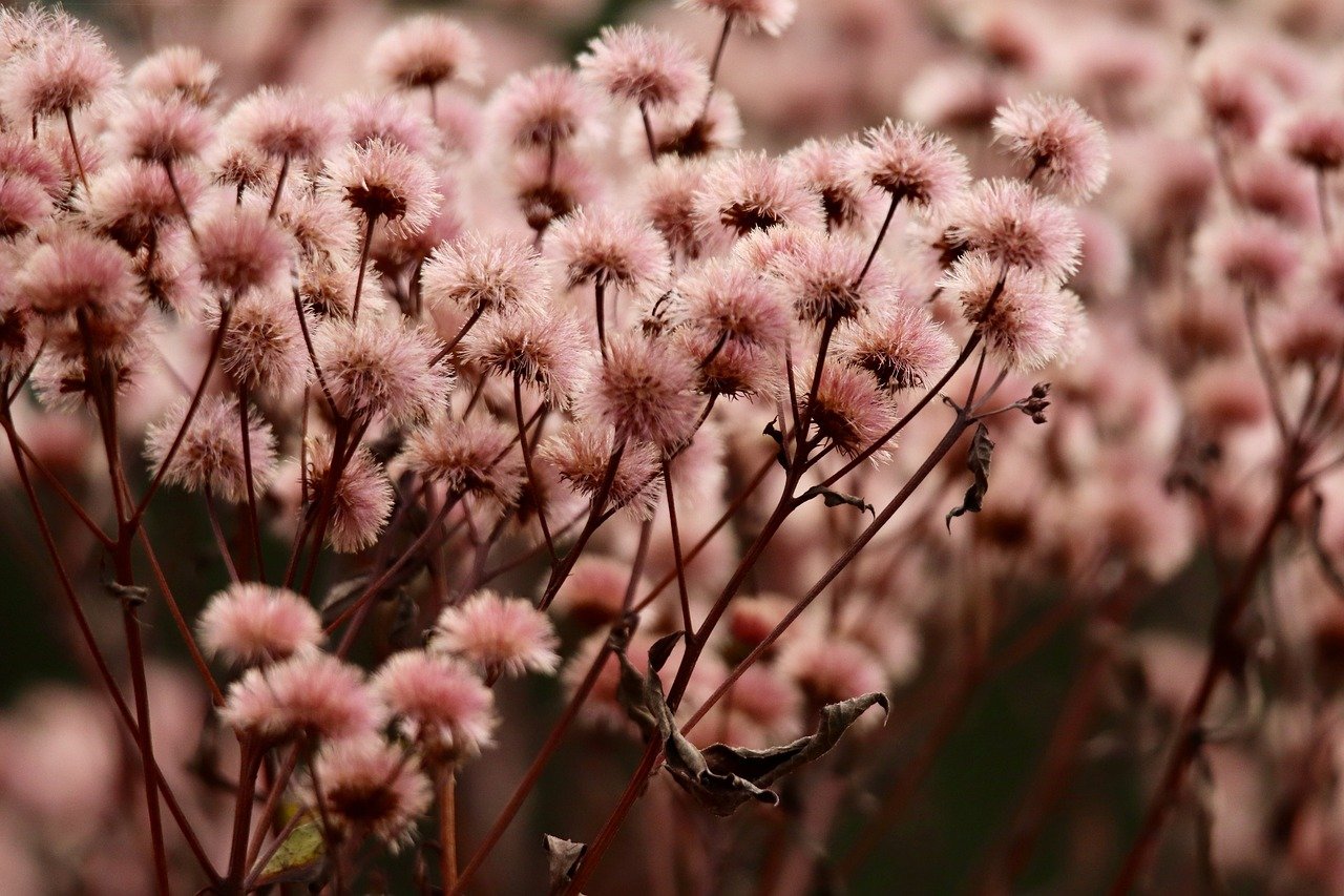 开云团队竞技真品购买平台