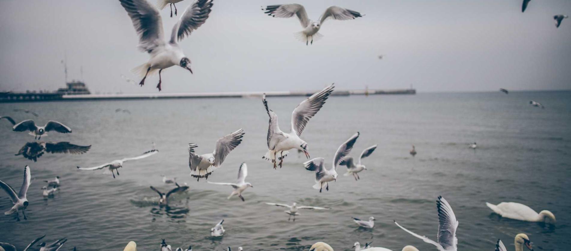 在线DDOS平台攻击|龙支付app详情下载教程